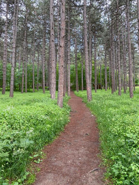 Fotografija u galeriji objekta Apartmani JOVANOVIC Sokobanja u gradu Soko Banja