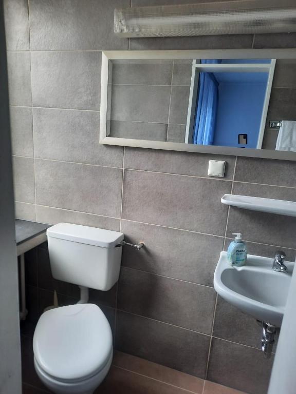 Hotel Berliner Hof - Resim 36