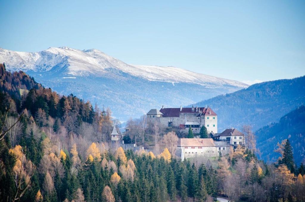 Oberwölz Stadt的住宿－Gasthof Oberer Bräuer，山丘上的小镇,有树木和山脉