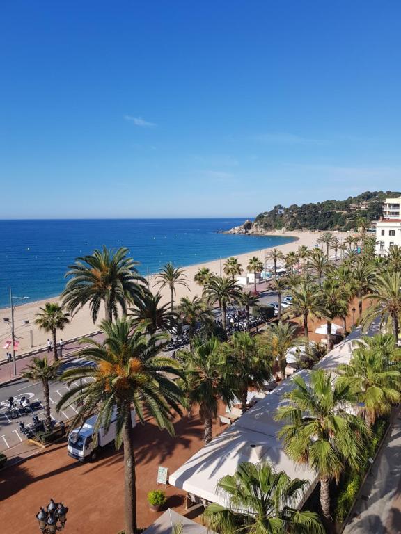 uma vista para uma praia com palmeiras e para o oceano em Hotel Maeva ,1 star B&B em Lloret de Mar