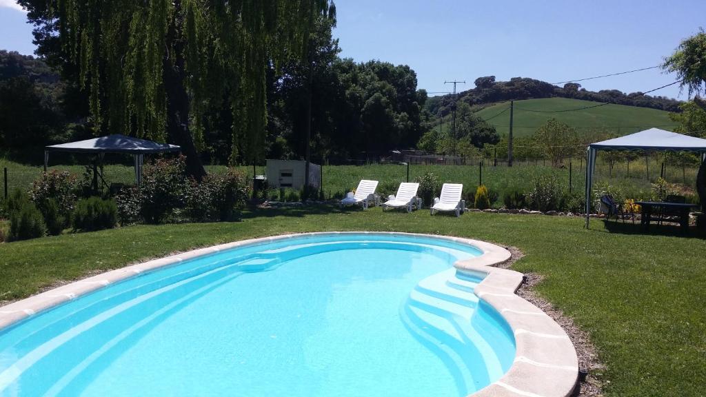 einen Pool im Garten mit Stühlen und Sonnenschirmen in der Unterkunft Hostal Rural Venta La Vega in Ronda