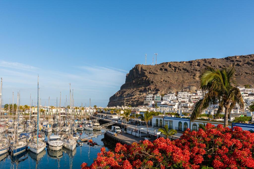 a group of boats docked in a marina with a mountain at Hotel LIVVO Puerto de Mogán in Puerto de Mogán