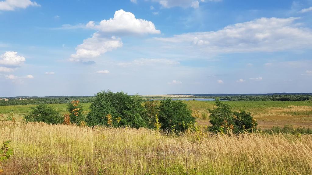 Príroda v okolí dovolenkového domu