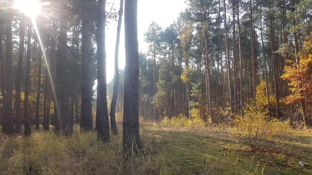Príroda v okolí dovolenkového domu