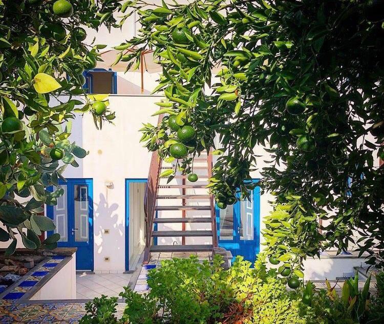 Zahrada ubytování Punta Sallustro Lipari