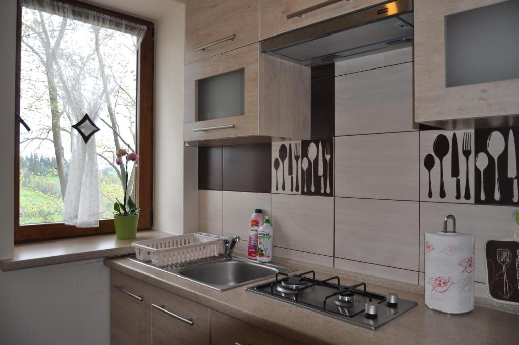 a kitchen with a sink and a window at Gościniec u Groszka in Bukowina Tatrzańska