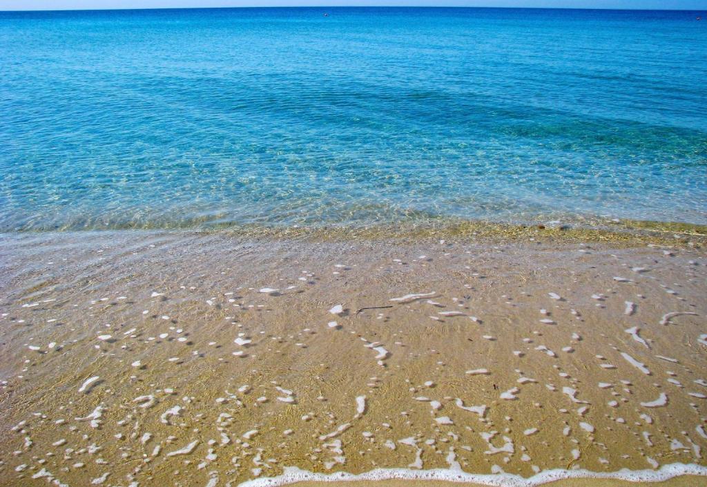 a beach with water and footprints in the sand at Casa Lia-Beach Front Villa in Nea Kalikratia