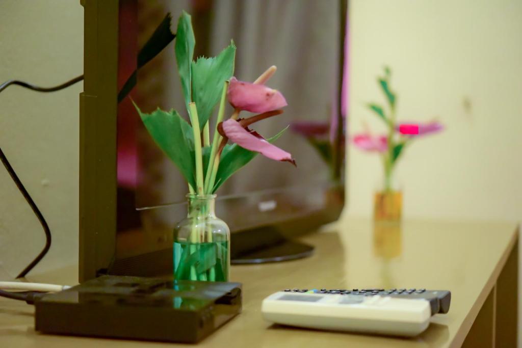 TV a/nebo společenská místnost v ubytování Botanika Hotel
