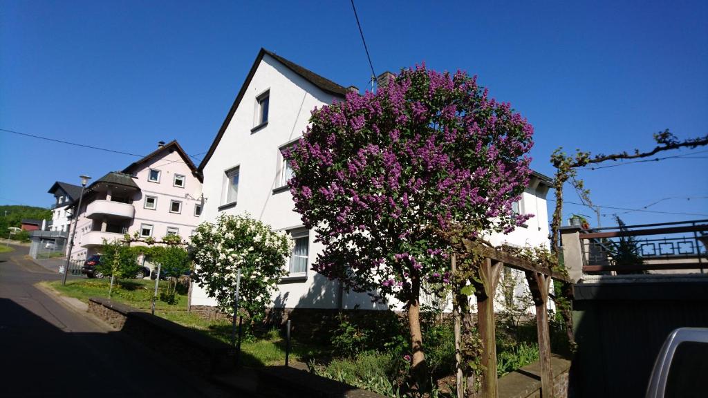 ein weißes Haus mit einem Baum mit lila Blumen in der Unterkunft Ferienwohnung Ewa in Ellenz-Poltersdorf