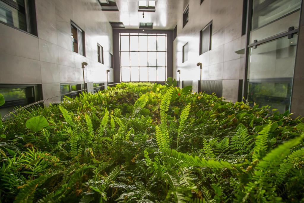 a plant in the middle of a building at Hotel Brö-Adults Recommended in Málaga