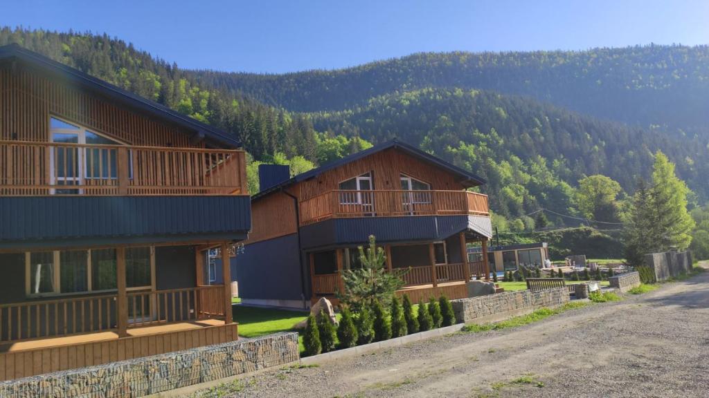 a house with a view of a mountain at Chalet Venterivka in Tatariv