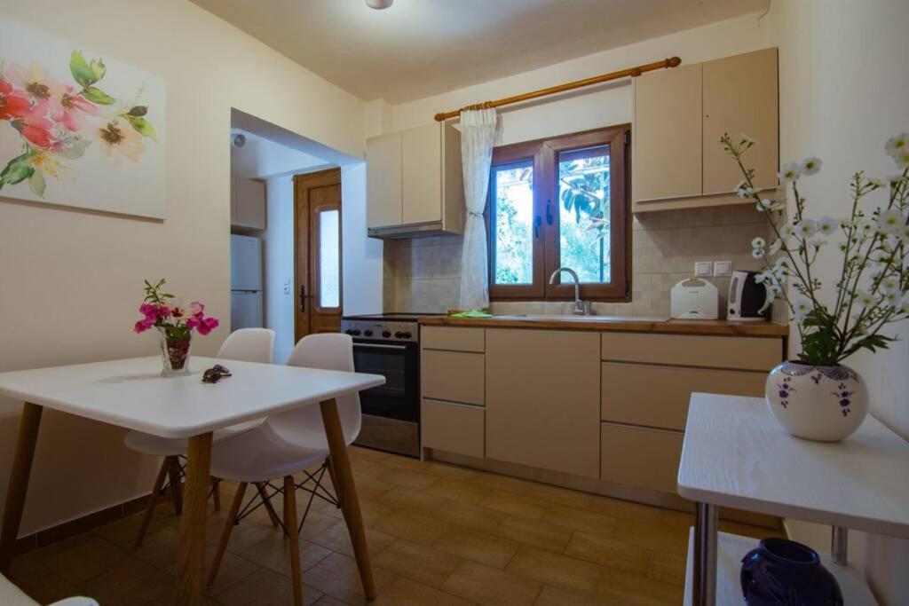 Kuchyň nebo kuchyňský kout v ubytování Natsios Thanasakis Apartment