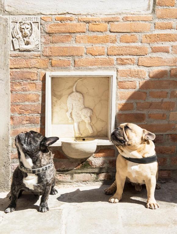 Hotel Agli Alboretti - Resim 22