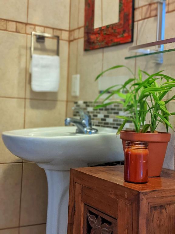 Fotografie z fotogalerie ubytování Seaside Inn Roatan v destinaci West Bay