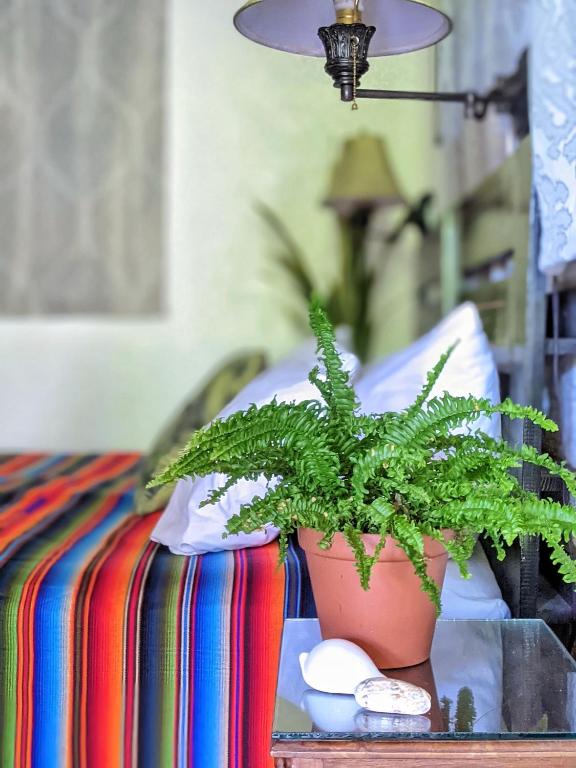 Posezení v ubytování Seaside Inn Roatan
