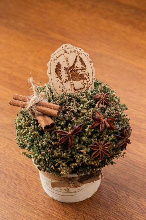 a plant in a pot on a table at Mala Narnia in Frymburk