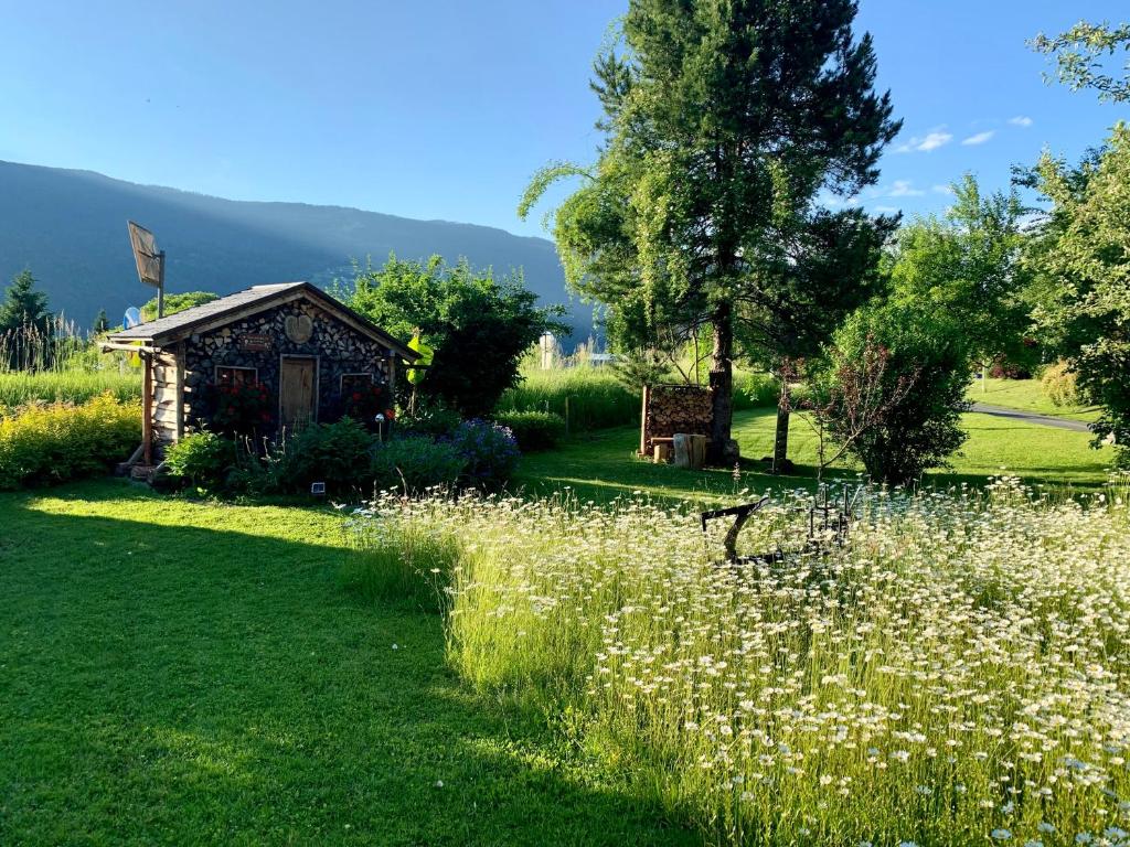 Príroda v okolí apartmánu