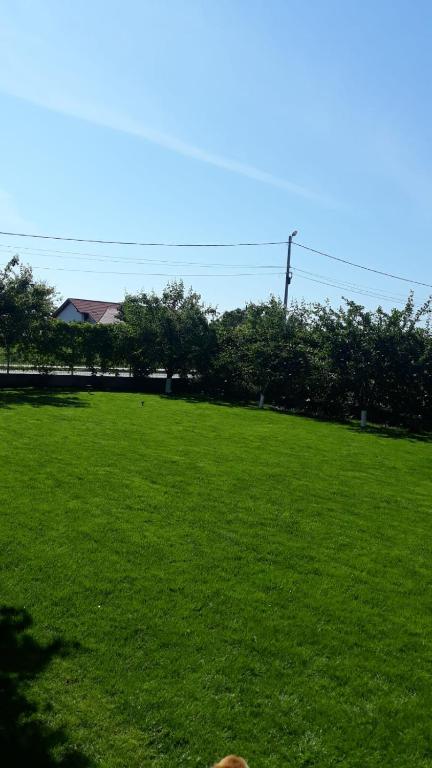 Zahrada ubytování Vila Alexa