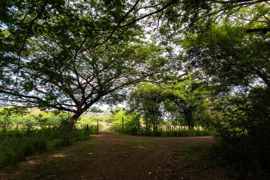a dirt road with trees and a gate in a field at Rancho Humo Estancia in Puerto Humo