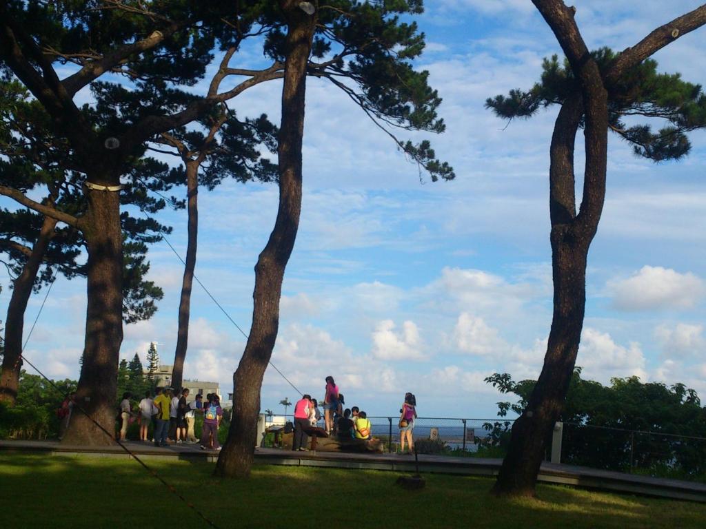 a group of people standing in a park with trees at Hope &amp; Sea Homestay in Hualien City