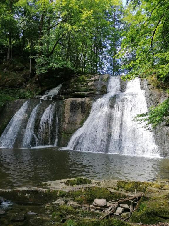 Paesaggio naturale nelle vicinanze dell'affittacamere
