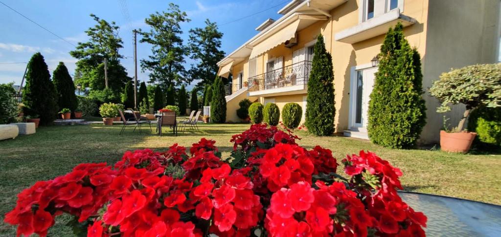 a bed of red flowers in front of a building at Sevi's Luxury Guesthouse Villa in Ioannina