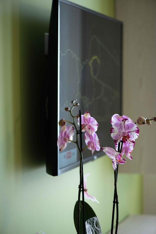 Residence Il Melograno - 6