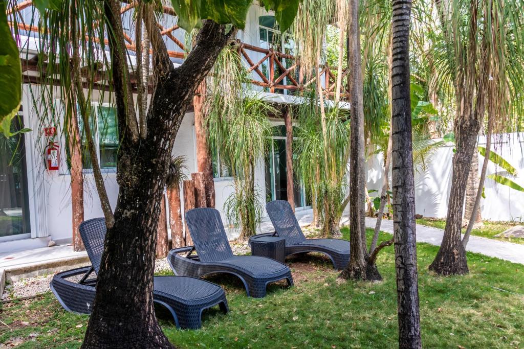 Zahrada ubytování Apart Hotel Casaejido