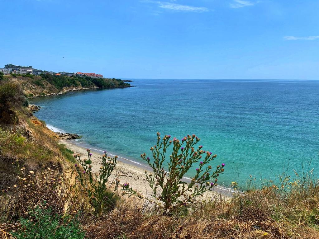 widok na plażę z oceanem w obiekcie Marina Cape Superior w Aheloy