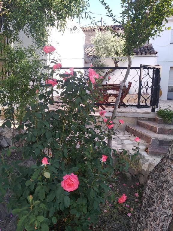 Zahrada ubytování Casa Rural Consuelo