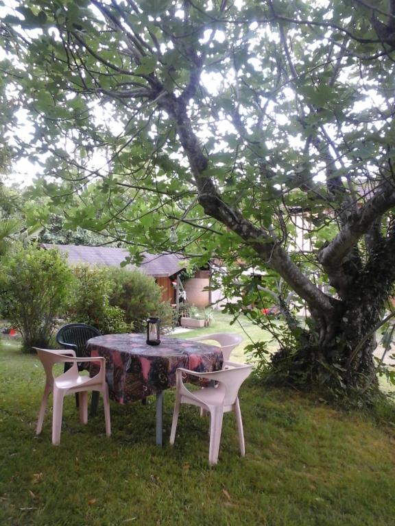 une table et des chaises sous un arbre dans une cour dans l'établissement Gîte l'appel de la Forêt, à Betplan