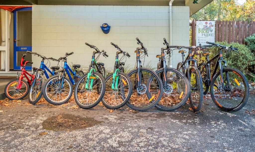 Alpine Adventure Holiday Park - Resim 15