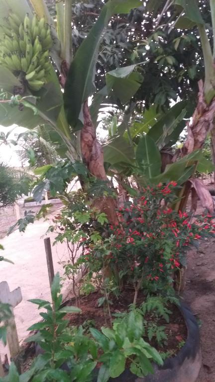  Suite temporada em Arraial do Cabo