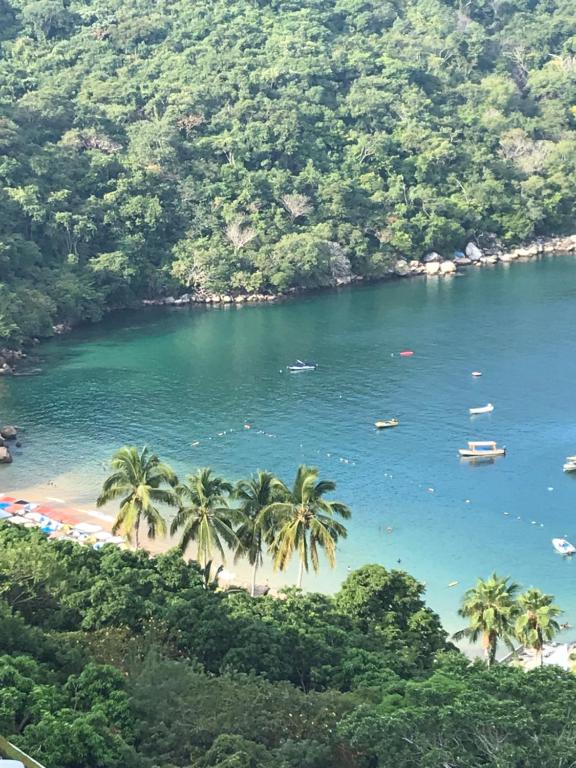 a beach with palm trees and boats in the water at Paraiso Azul in Acapulco