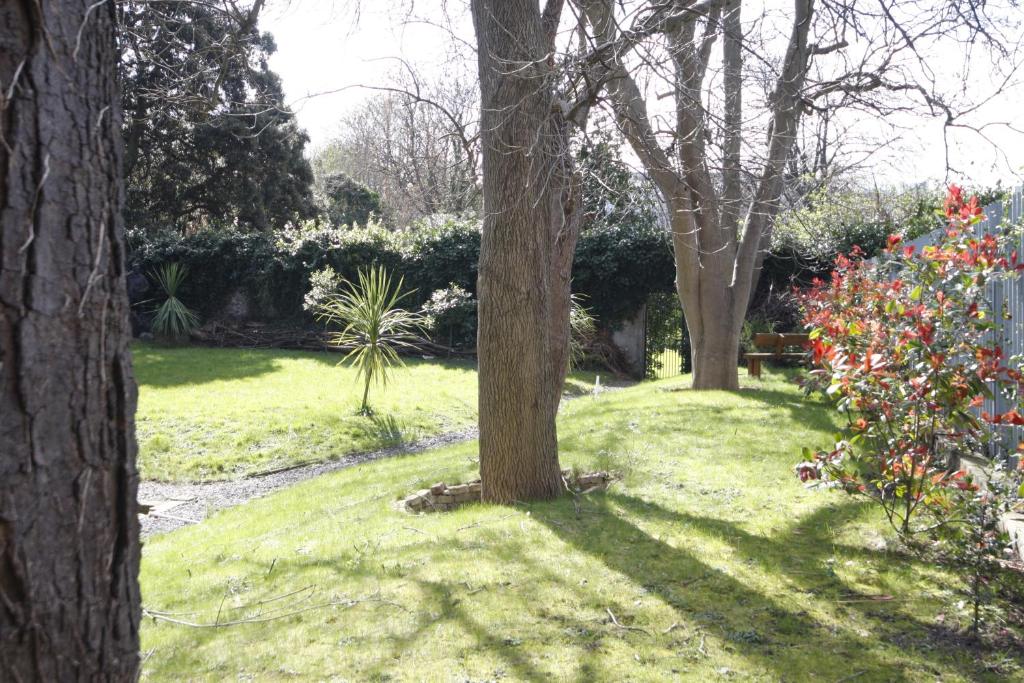 Stauntons on the Green Hotel - Resim 41