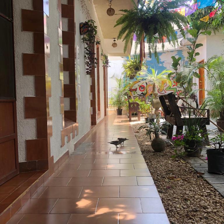 a hallway of a building with plants on it at Hotel Boutique El Sueño del Coronel in Río Verde