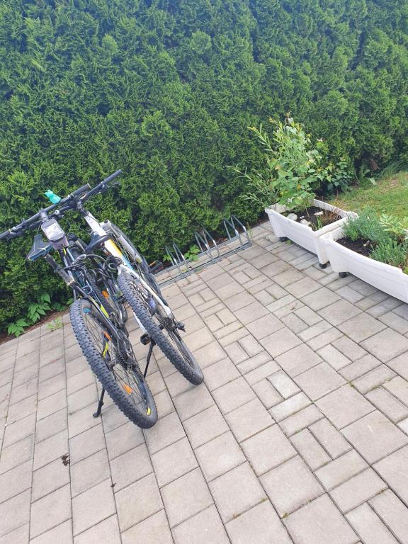 Jízda na kole v ubytování Ferienwohnung Alpen Sunshine Füssen nebo okolí