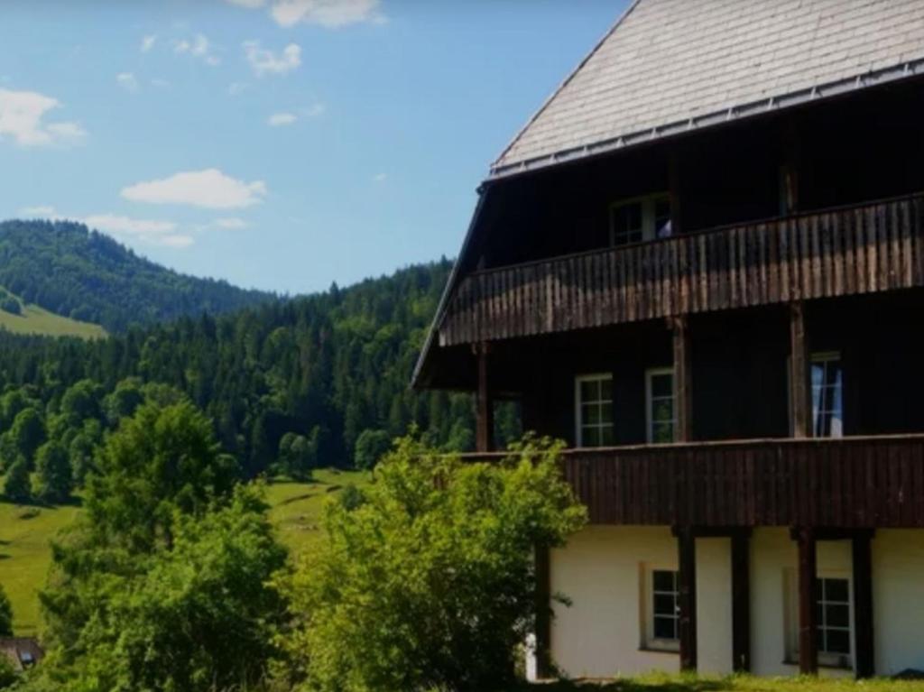 um grande edifício com vista para as montanhas em Familien- und Sportappartements Wetzel em Menzenschwand