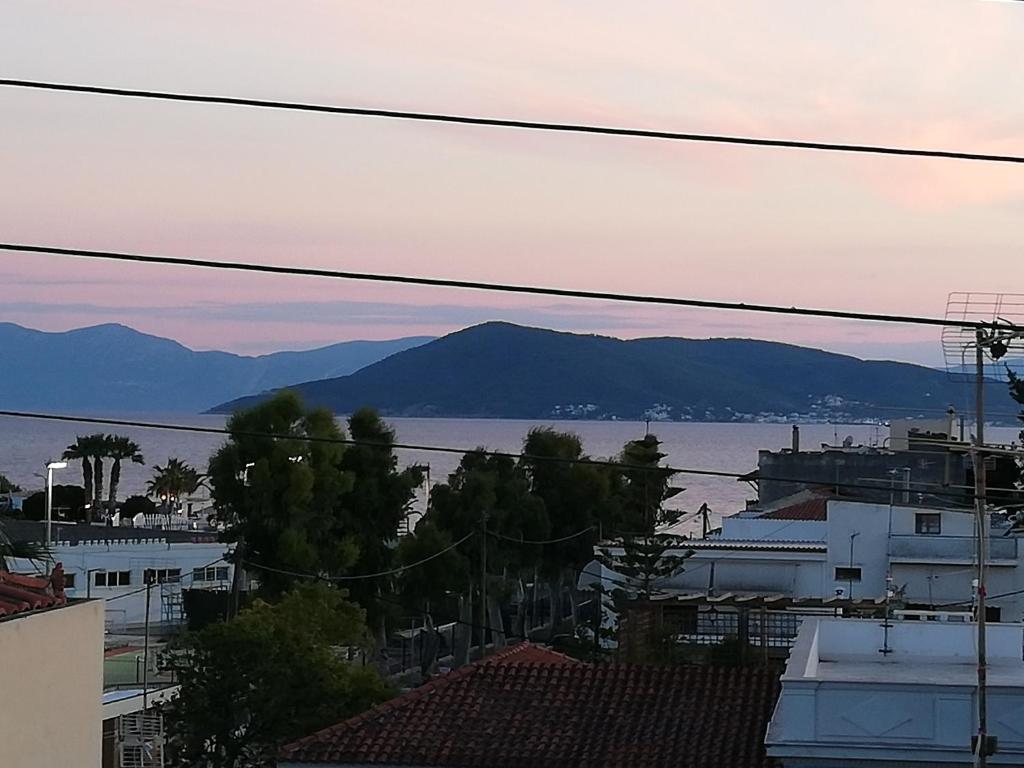 Captain's Rooms - 17