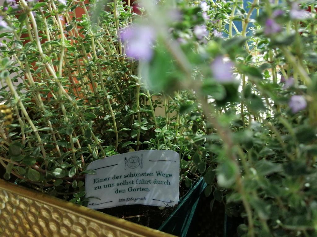 Vonkajšia záhrada v ubytovaní Seehotel Grüner Baum