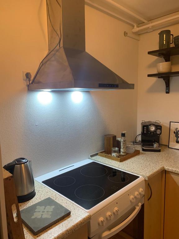 Kuchyň nebo kuchyňský kout v ubytování MilleBo - Like Home Studio Apartment