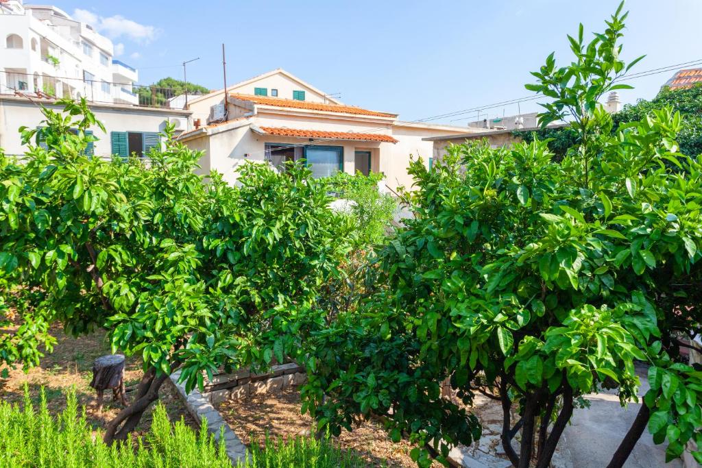 Zahrada ubytování Sea and Lemon Tree apartment