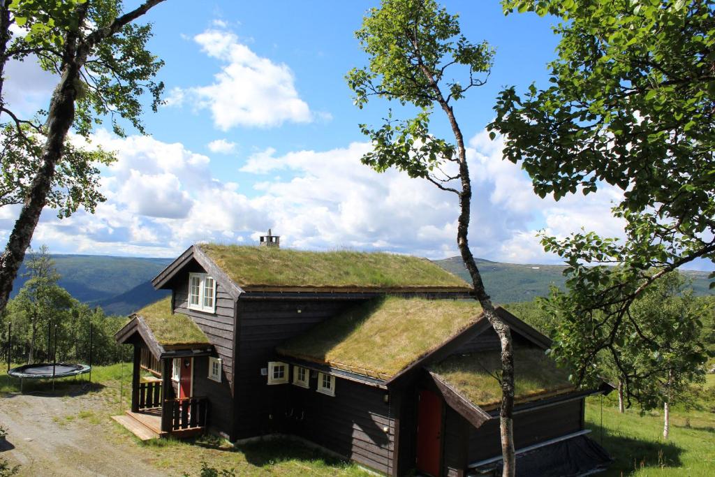 a house with a grass roof on top of it at Storemyr by Norgesbooking - cabin with amazing view in Myro