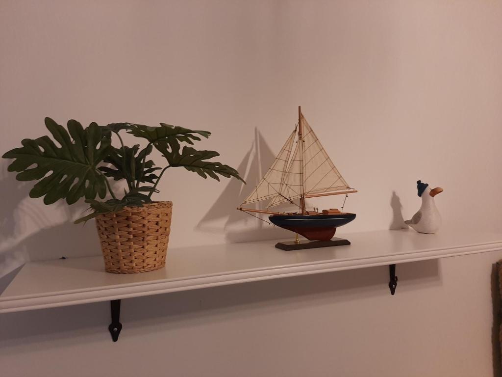 Fotografie z fotogalerie ubytování Admiral Apartman Makó v destinaci Makó