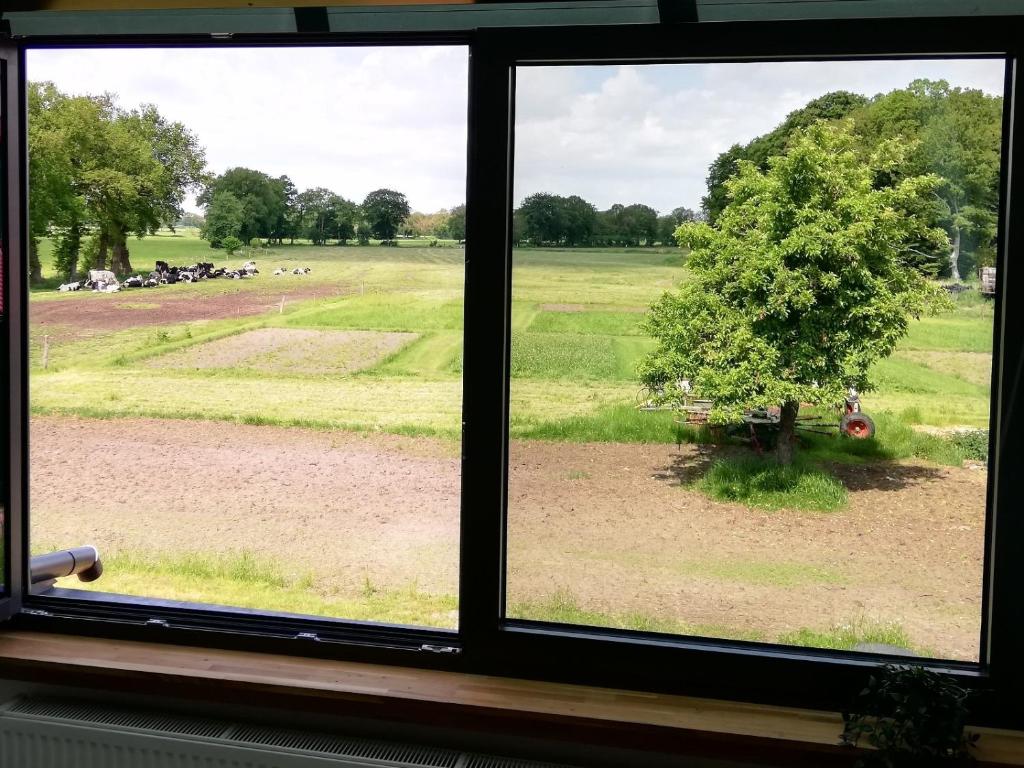 ein Fenster mit Blick auf ein Feld mit einem Baum in der Unterkunft Etzel-Lodge Weideblick in Friedeburg