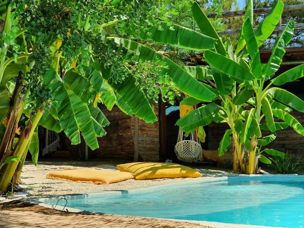 uma piscina com almofadas amarelas ao lado de algumas árvores em Mandala Camping em Faralya