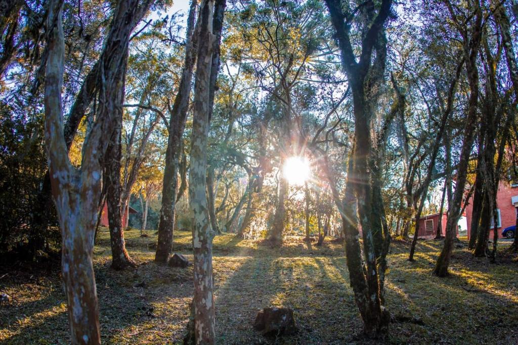 a sun shining through the trees in a field at Sede Campestre Rincão do Coelho in Canela