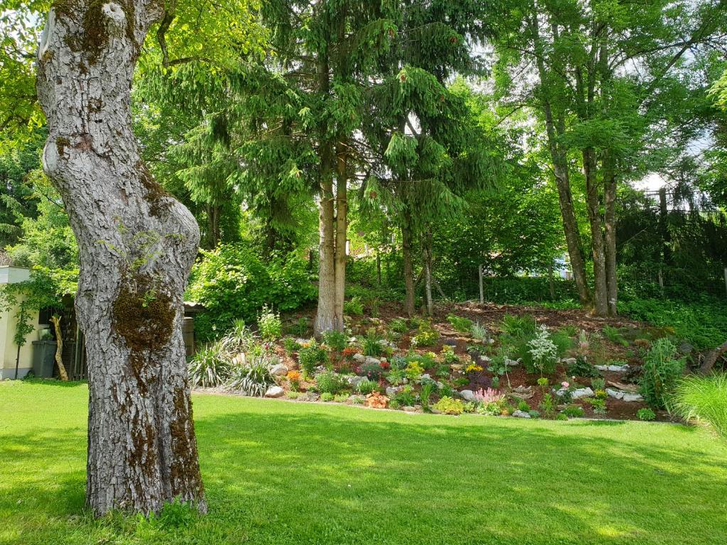 A garden outside Appartement Waldfriede