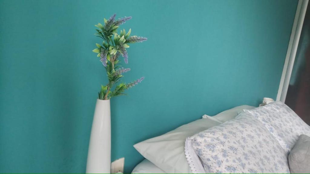  Insta Hostel Floripa