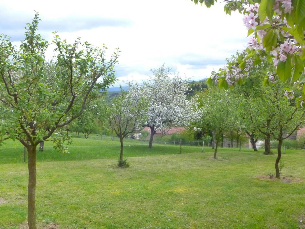 Um jardim no exterior de Chalet Hügli by Interhome
